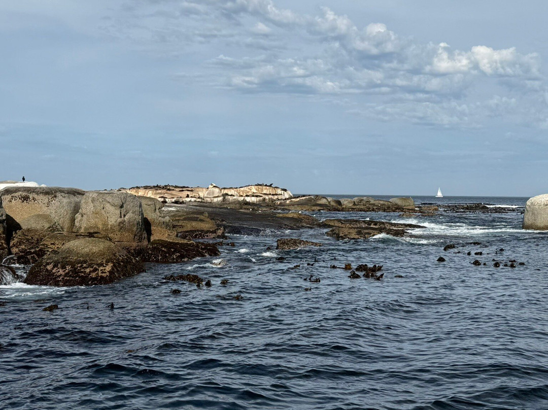 Duiker Island-木湾必去景点
