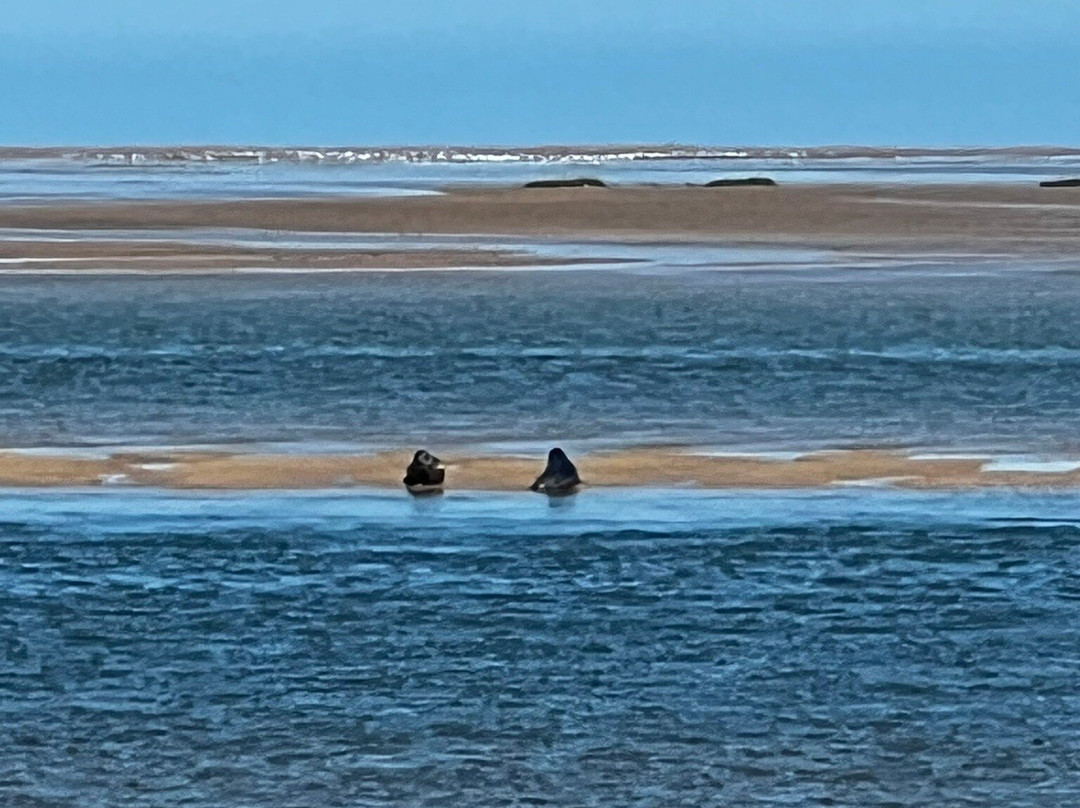 Wells Next The Sea Beach-Wells-next-the-Sea必去景点