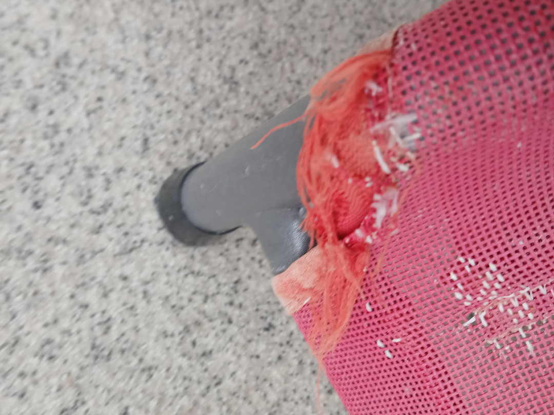 Aeskulap Therme-Schlangenbad必去景点