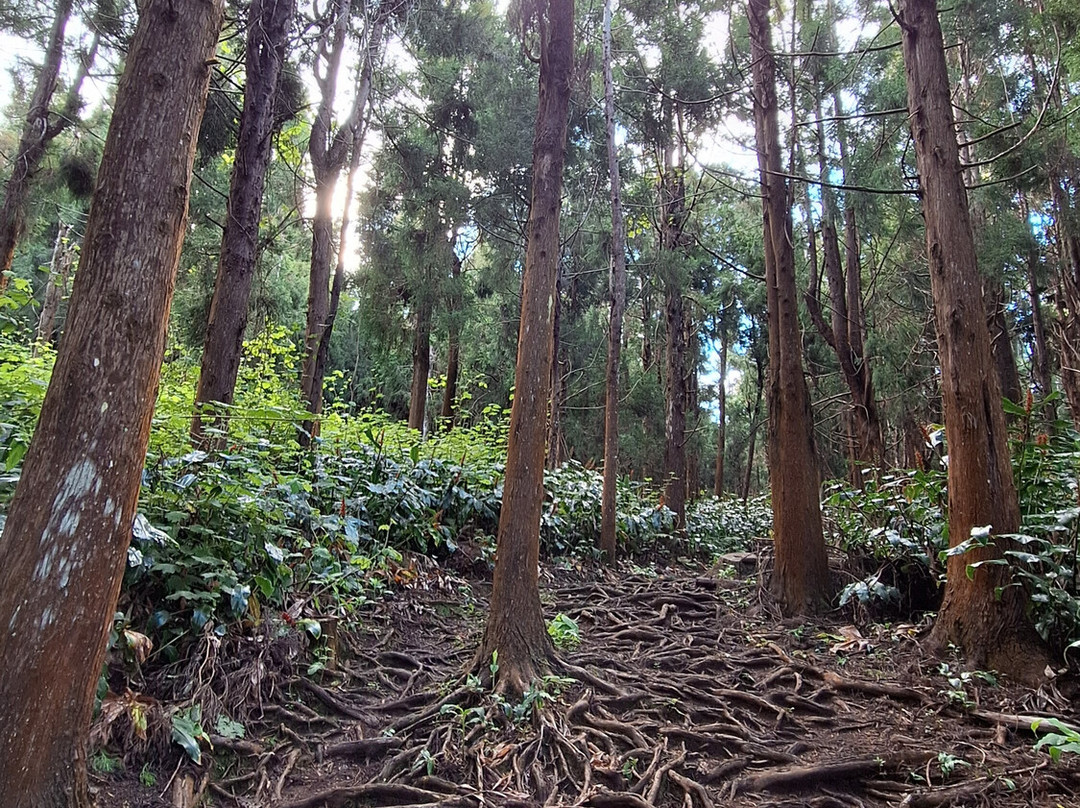 Le fenetre Les Makes-圣路易岛必去景点