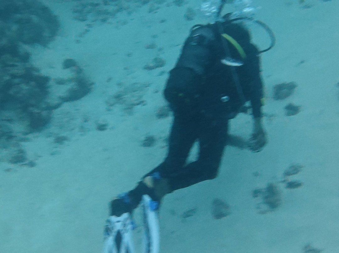 Buccaneer Diving-帕杰必去景点