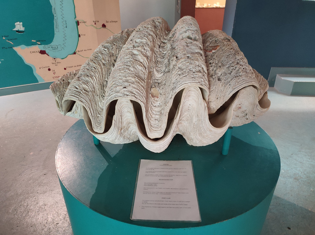 La Ferme Marine-康卡勒必去景点