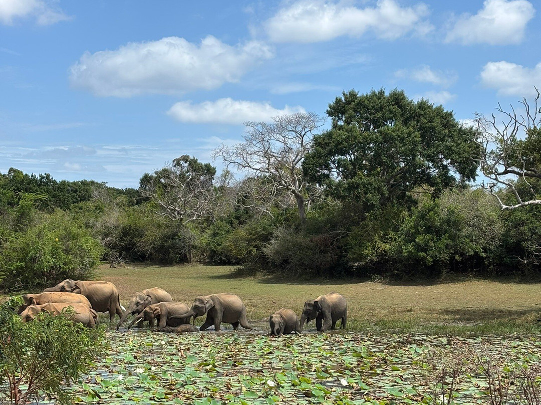Voyager Sri Lanka by S. P. PATHIRANA (PVT) LTD-Maharagama必去景点