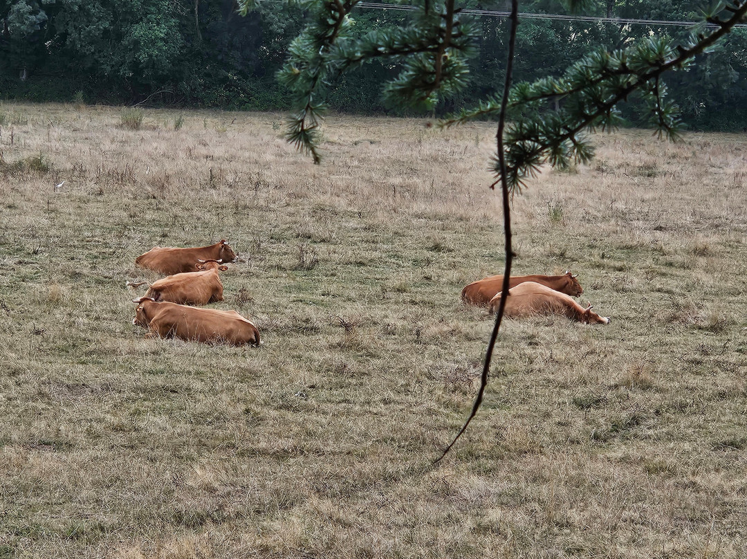 La Blanchisserie主图