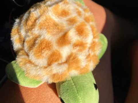 Le Village des Tortues - Tortupôle France-Carnoules必去景点