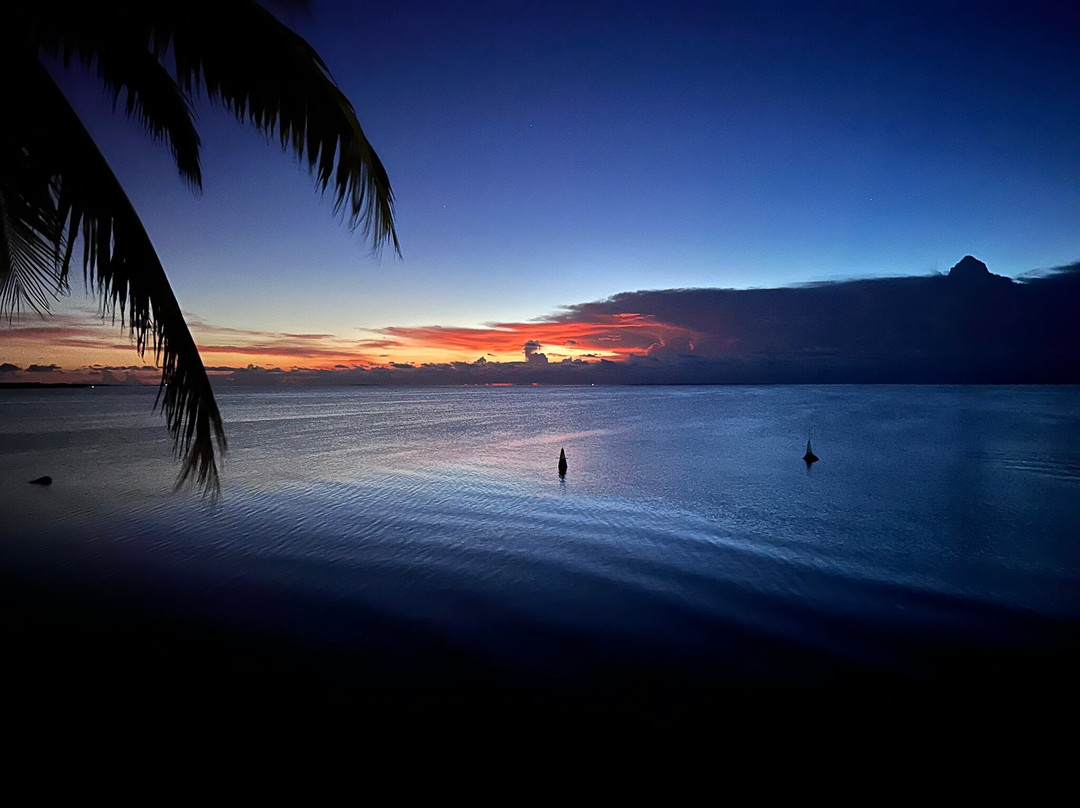 Conch Republic Divers-Tavernier必去景点