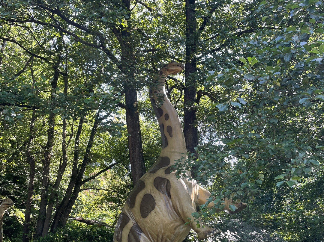 Tolk Schau-Tolk必去景点