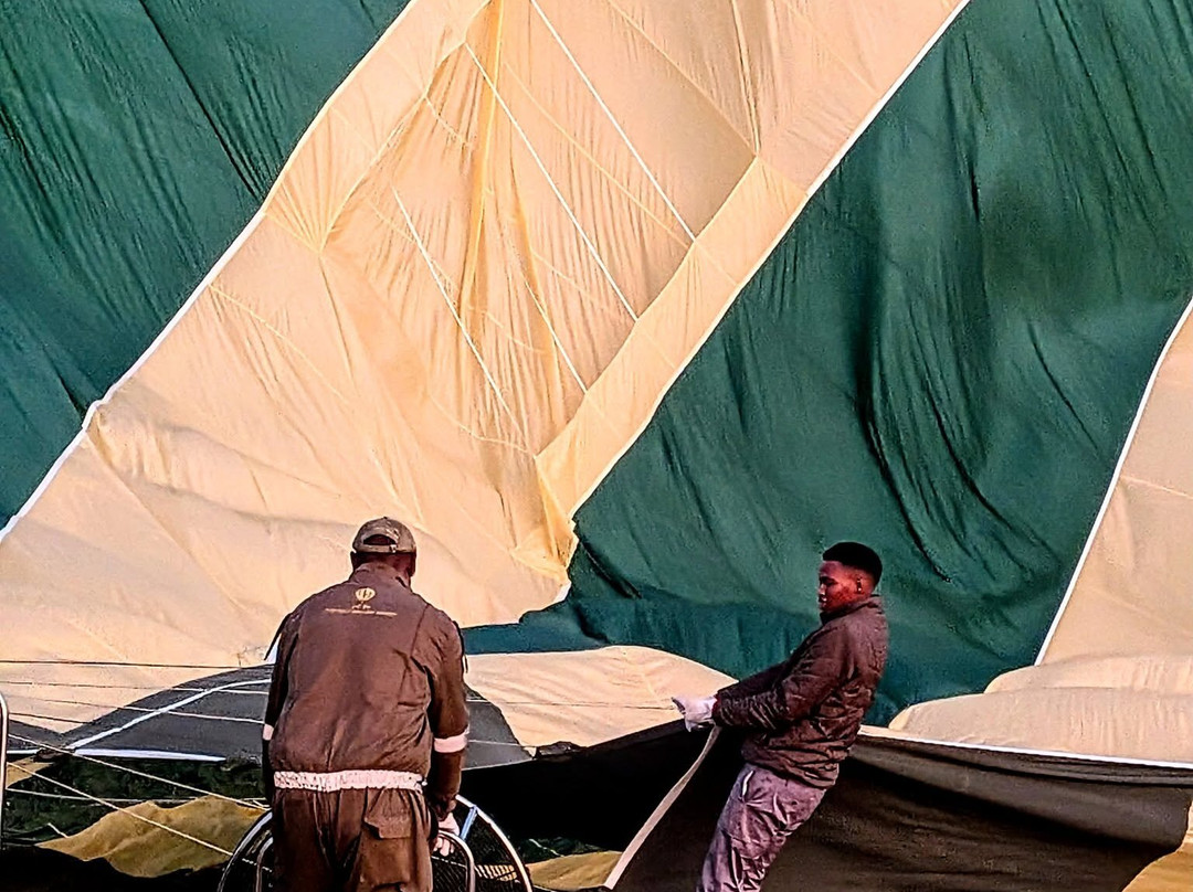 Carnivores Safaris Limited-阿鲁沙必去景点