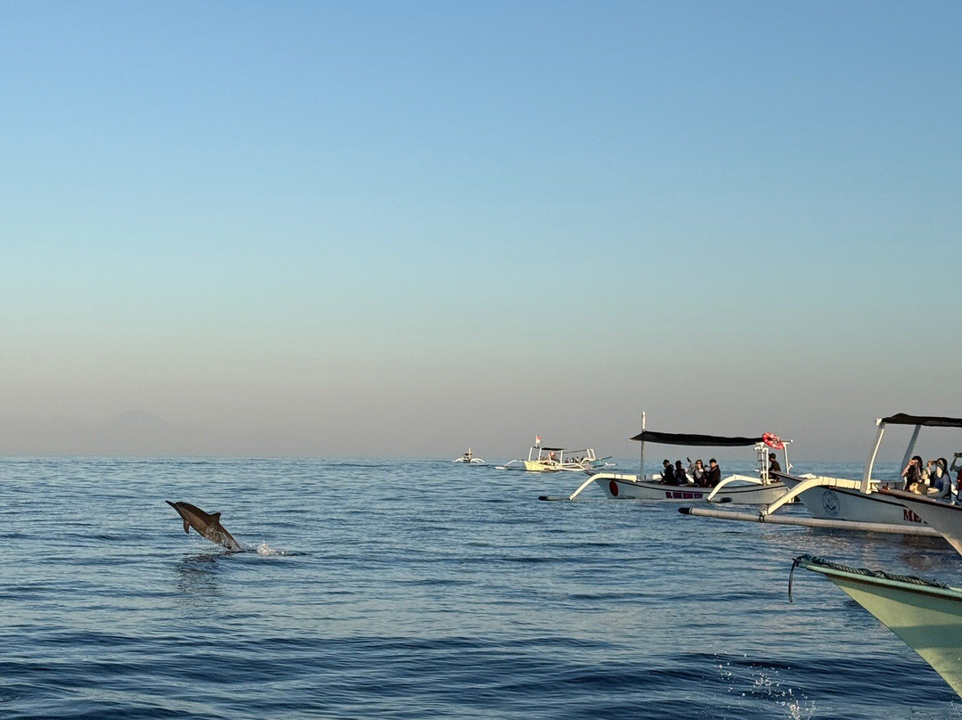 Lovina Bali Transport-新加拉惹必去景点