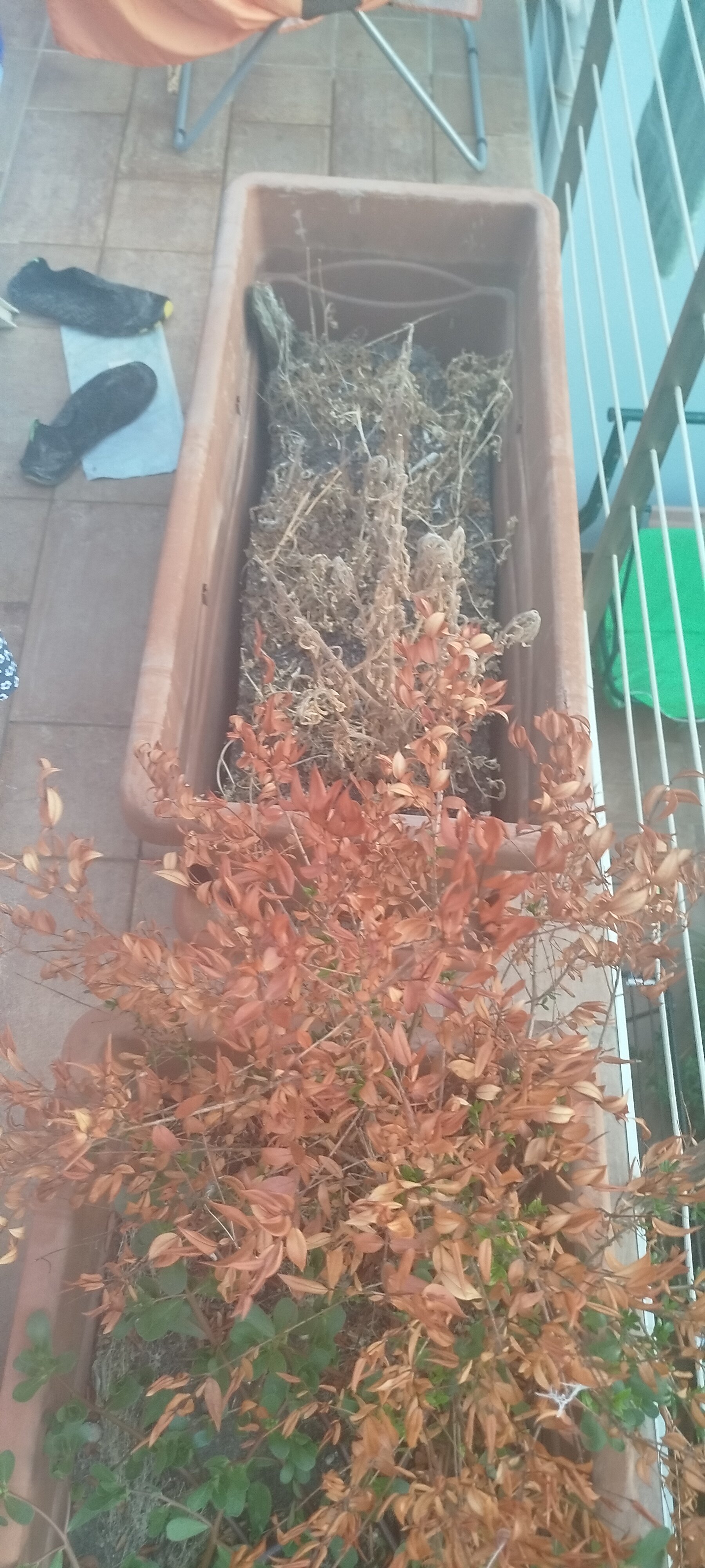 B&B I Tre Scalini-官方