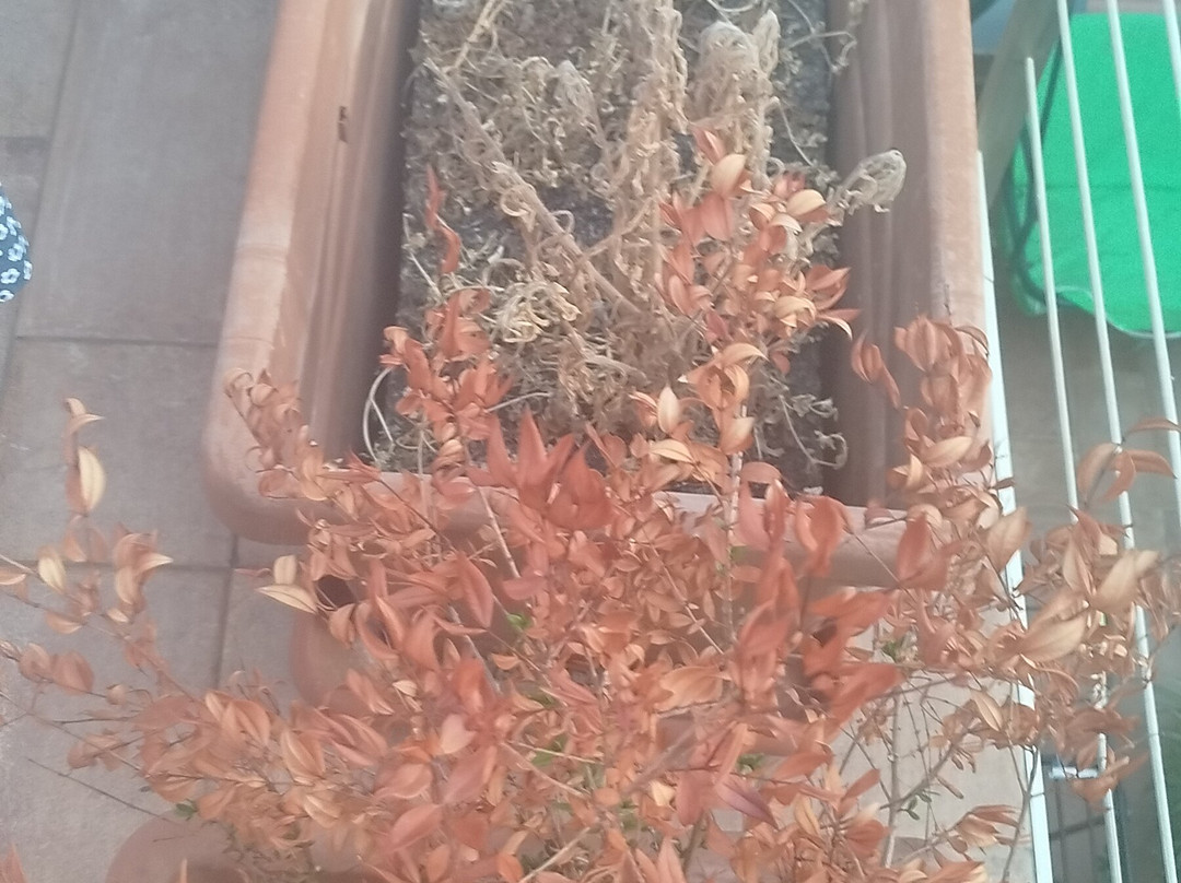 B&B I Tre Scalini主图