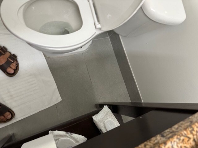 Country Inn & Suites by Radisson, Birch Run-Frankenmuth, MI-浴室