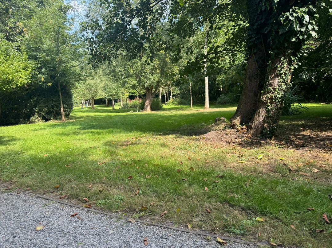 Caister Castle Car Collection-Caister-on-Sea必去景点