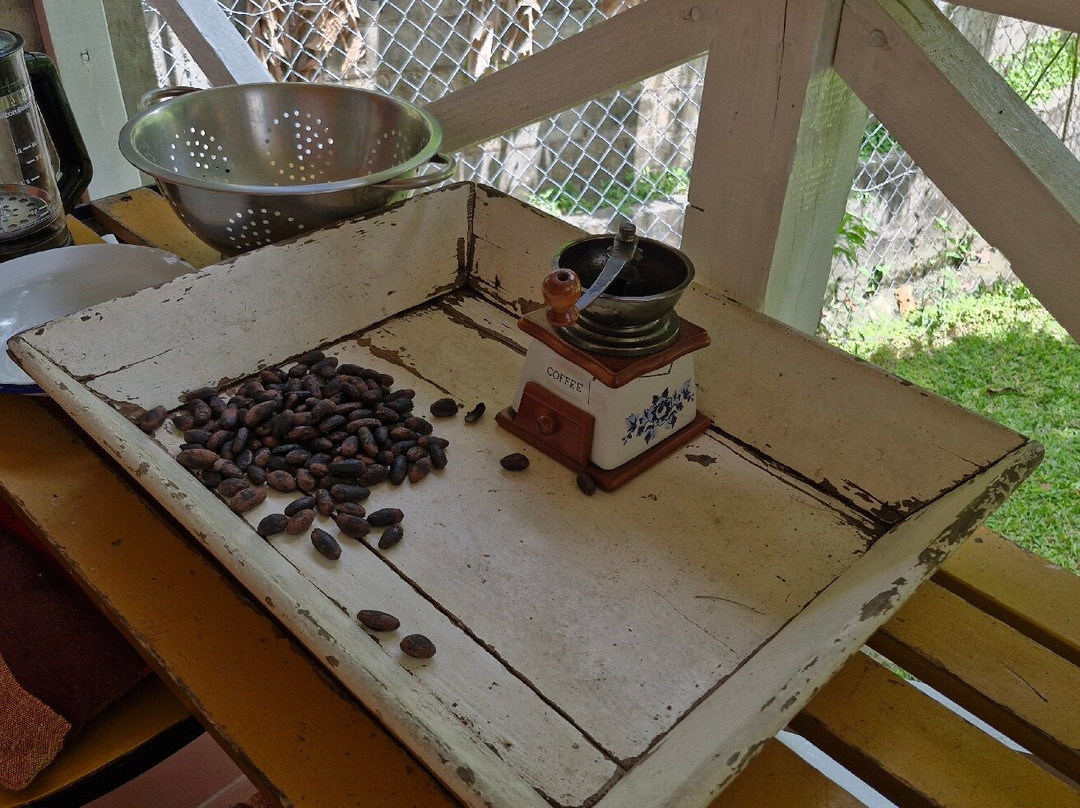 Tonči Chocolates & Coffee Tobago-Plymouth必去景点