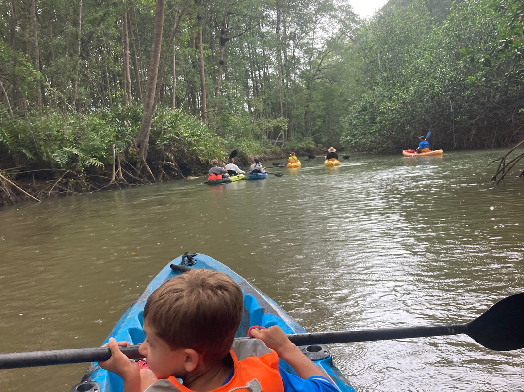 Pineapple Tours-主日镇必去景点