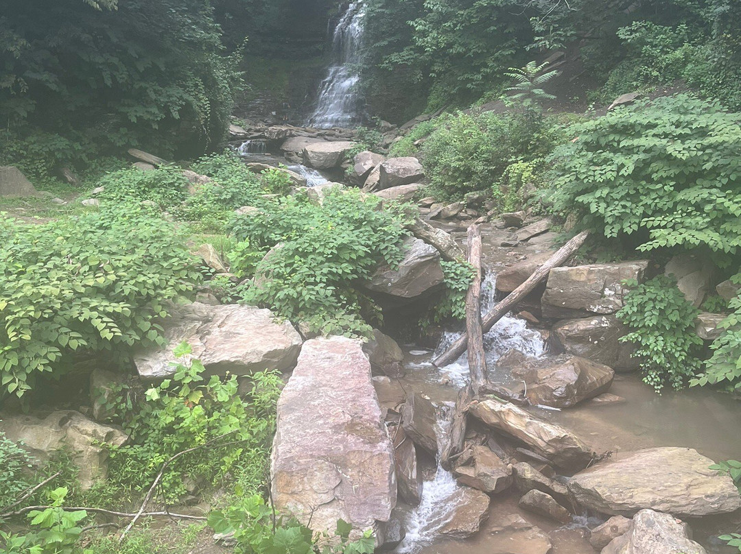 Cathedral Falls-Gauley Bridge必去景点