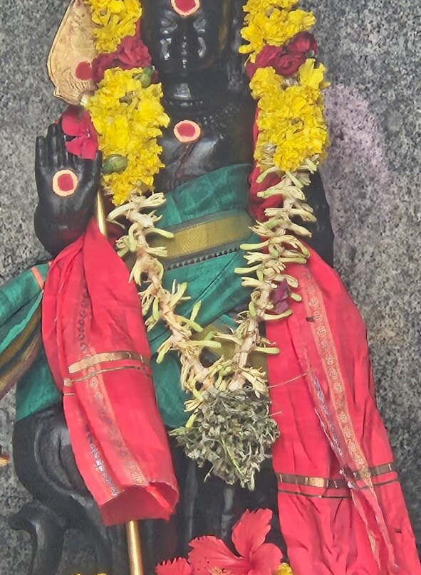 Regency Tuticorin By GRT Hotels主图