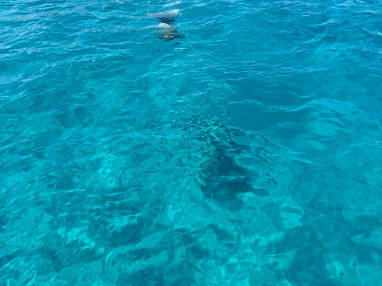 Easy Rental Boat Tropea-特罗佩阿必去景点