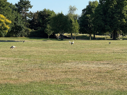 Le Jardin des Deux Rives-斯特拉斯堡必去景点