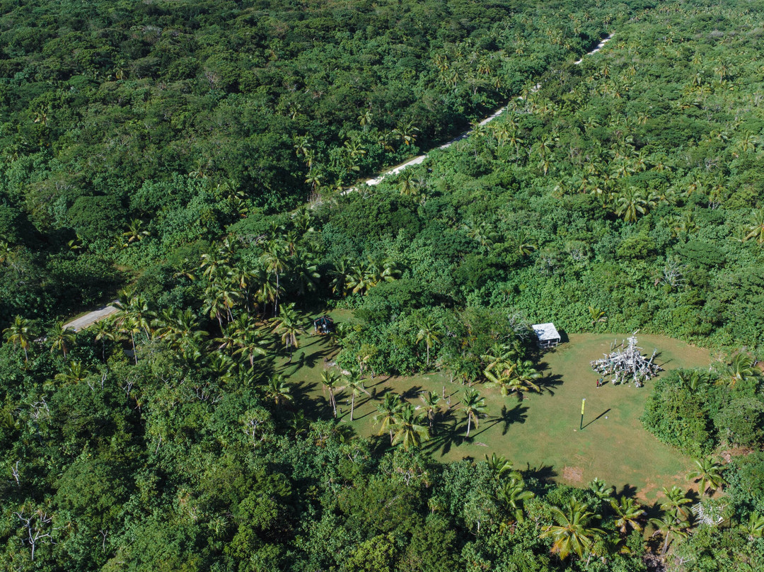 Hikulagi Sculpture Park Inc-阿洛菲必去景点