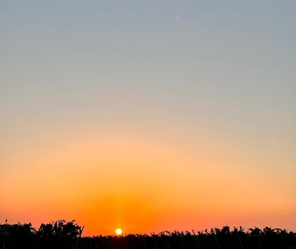 Aratashen Winery-Aratashen必去景点