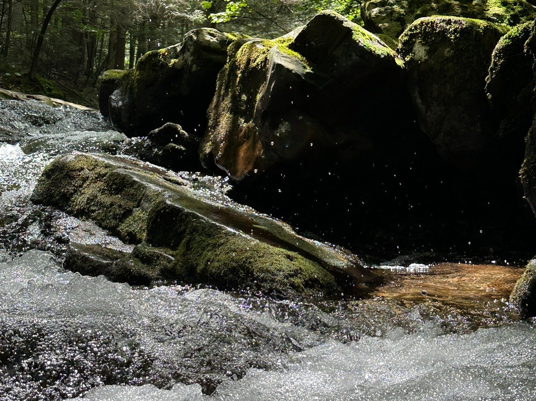 Seven Tubs Recreation Area-威尔克斯-巴里必去景点