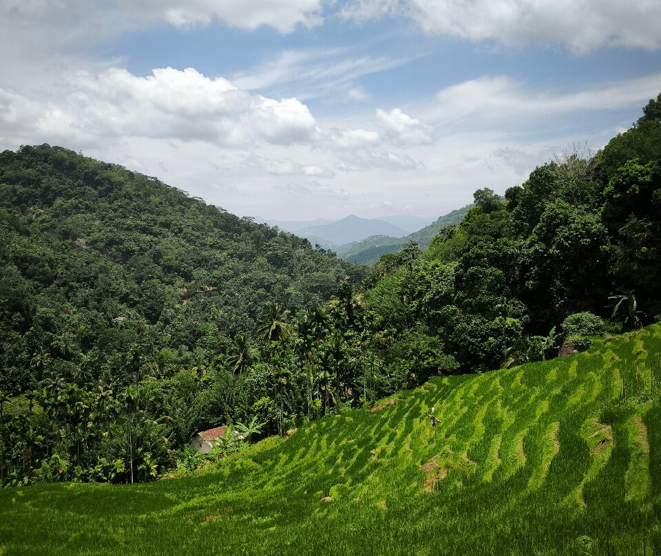 Heeloya Mountview Garden-Heeloya必去景点