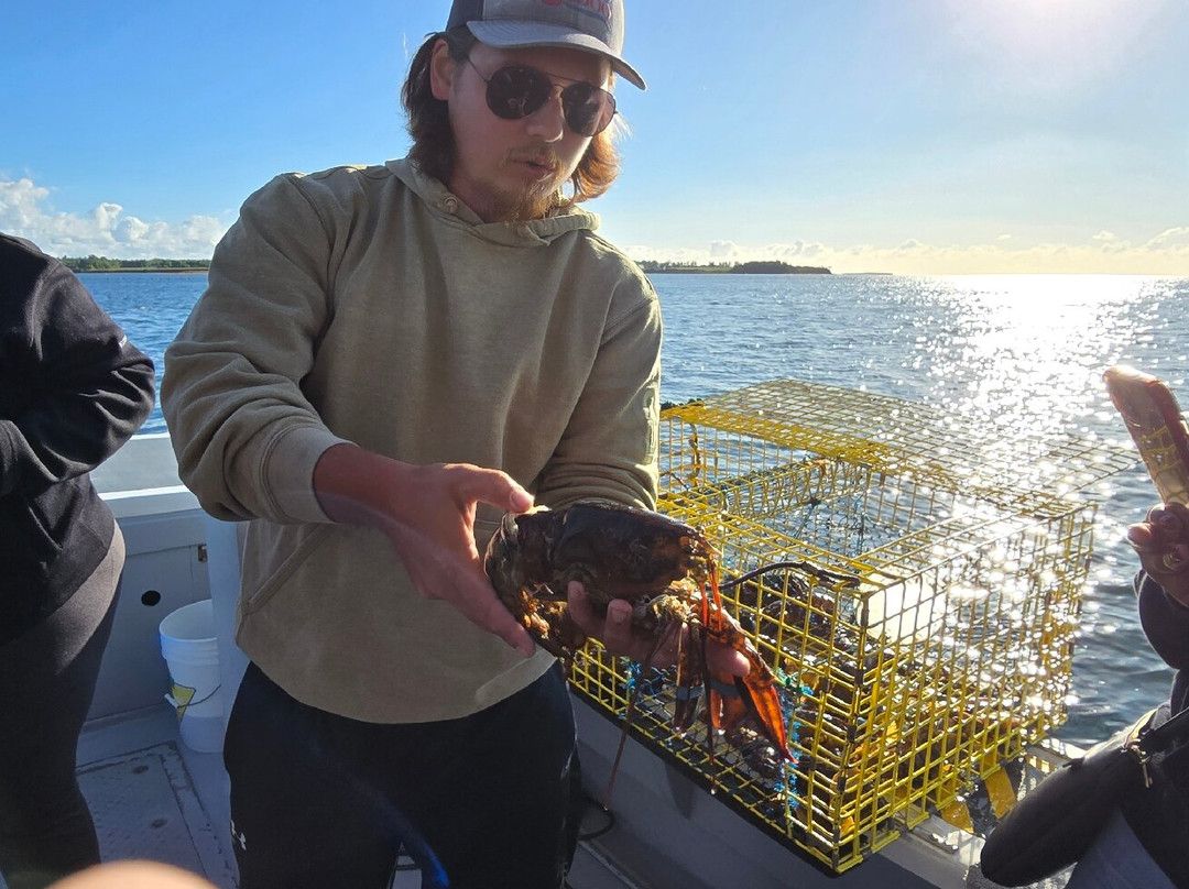 Tranquility Cove Adventures-Georgetown必去景点