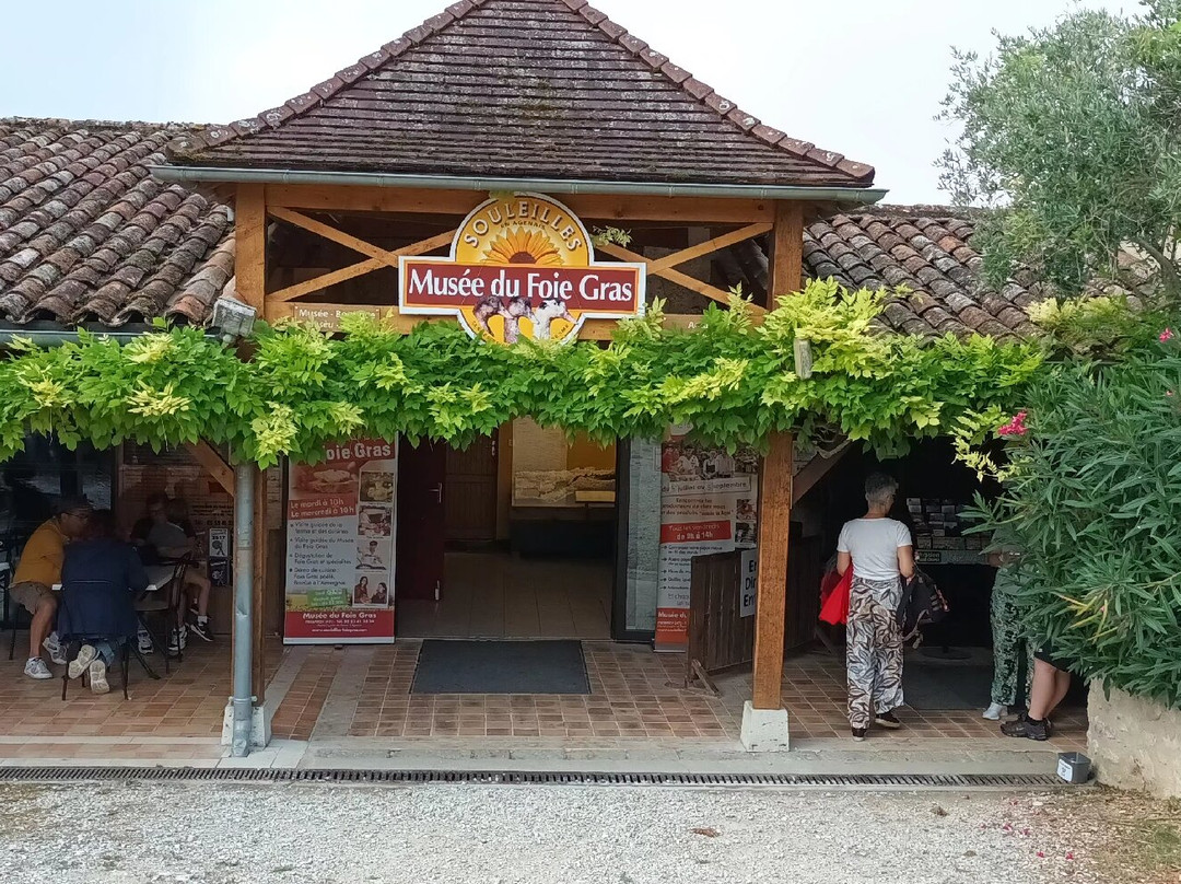 Musée du Foie Gras-Frespech必去景点