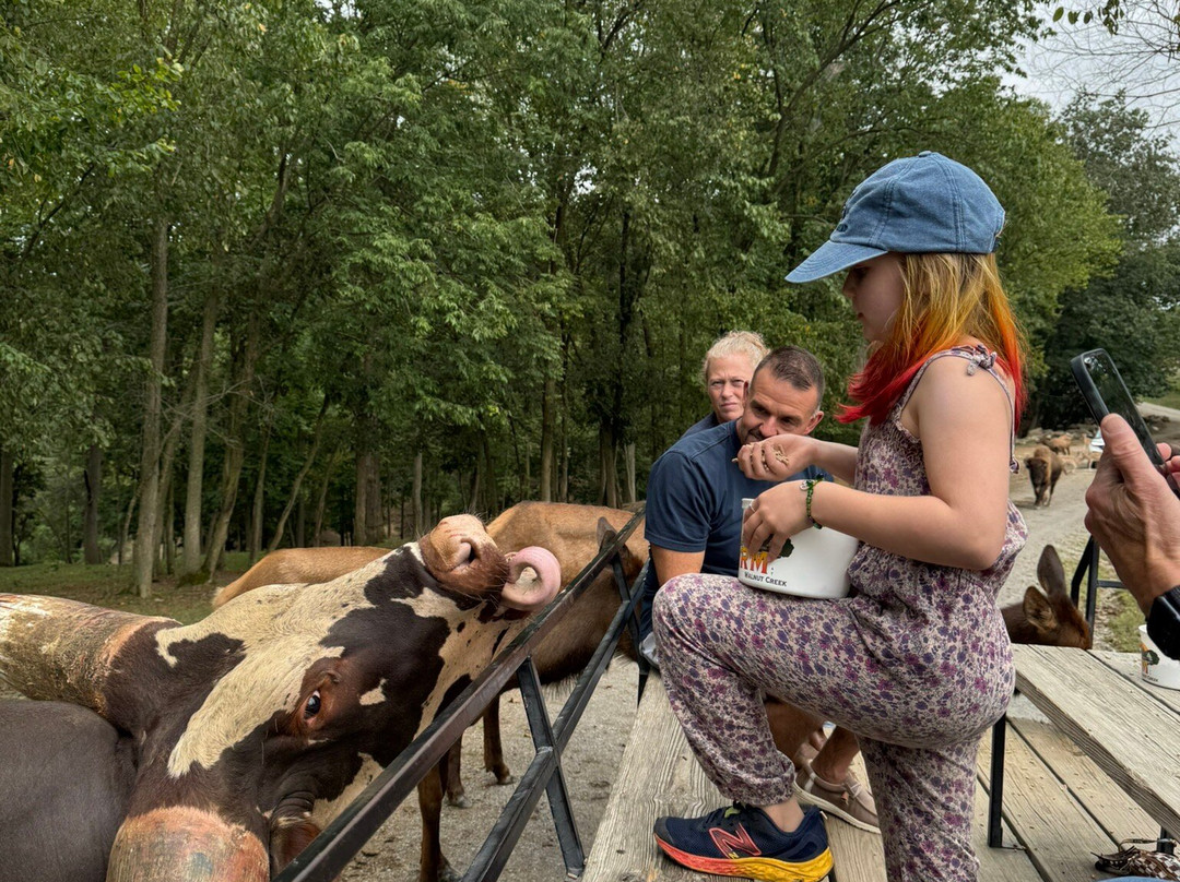 The Farm at Walnut Creek-Sugarcreek必去景点