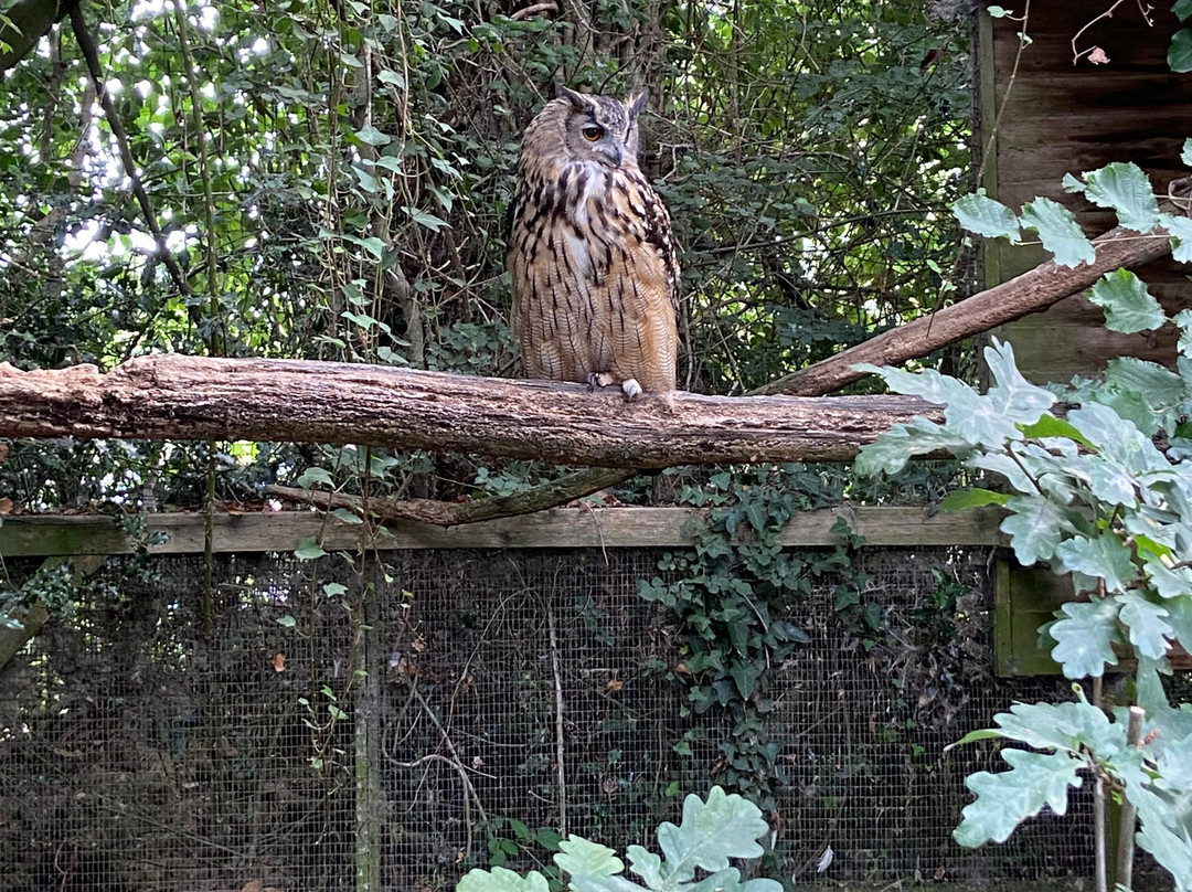 Axe Valley Wildlife Park-Axminster必去景点