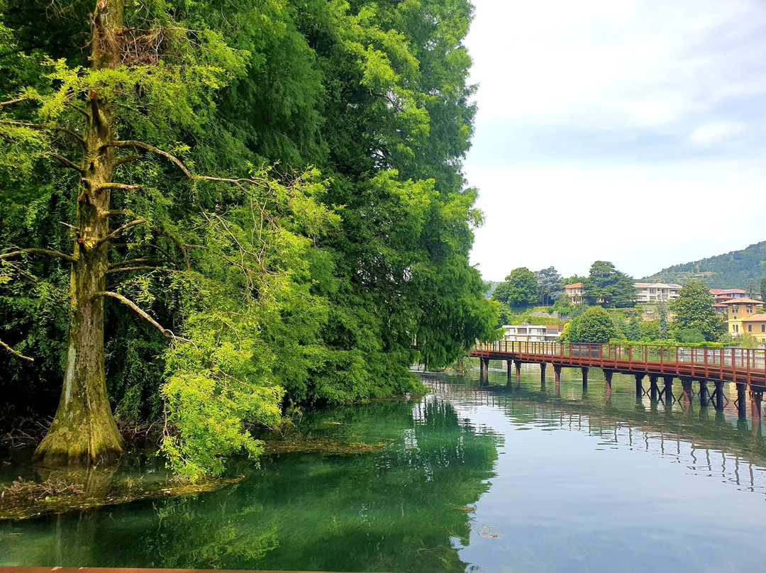 Parco protetto dei Tassodi-Paratico必去景点