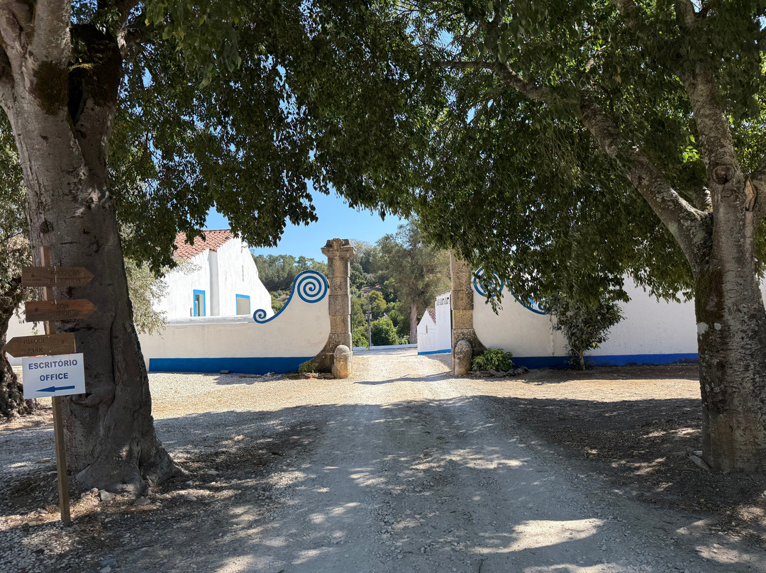 Azeite Casa Anadia - Olive Oil & Tours-Abrantes必去景点