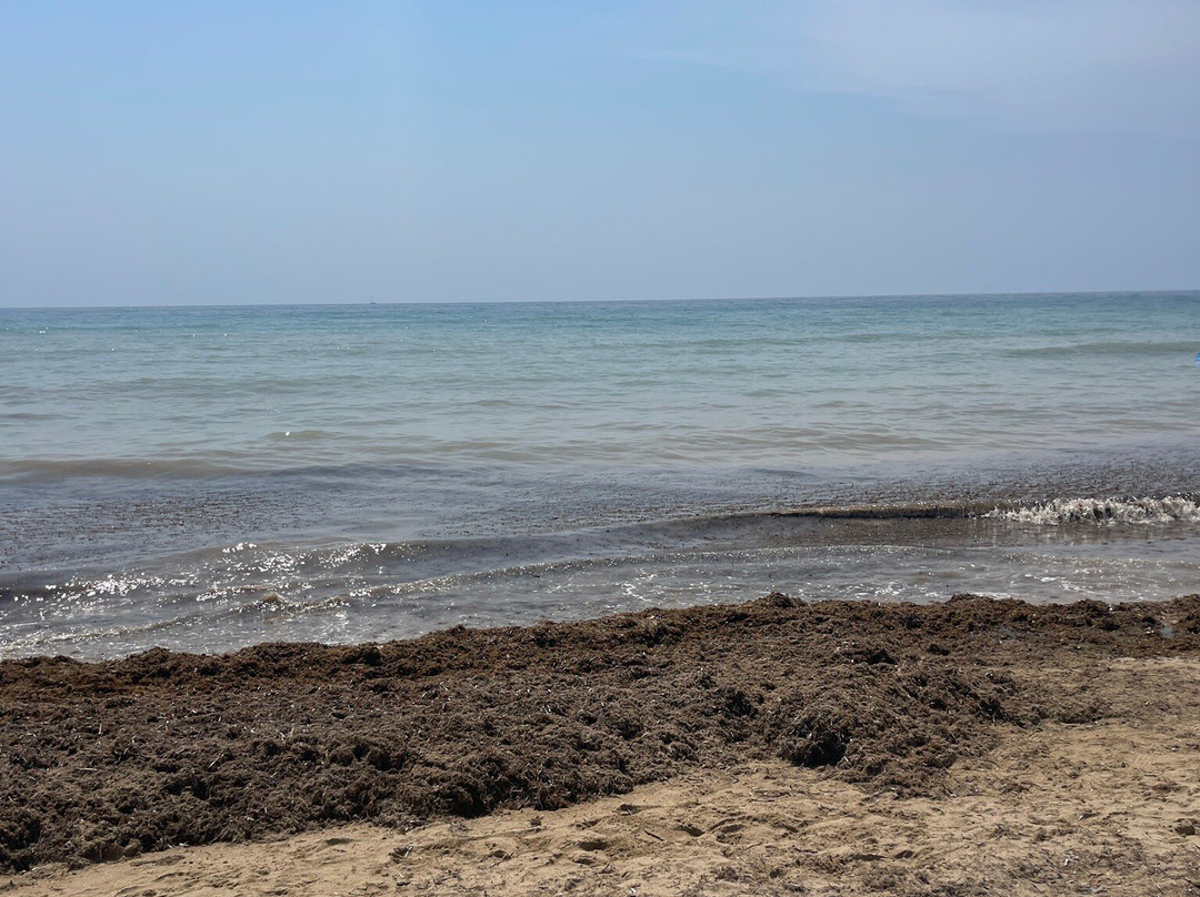 Le Seychelles del Salento-Salve必去景点