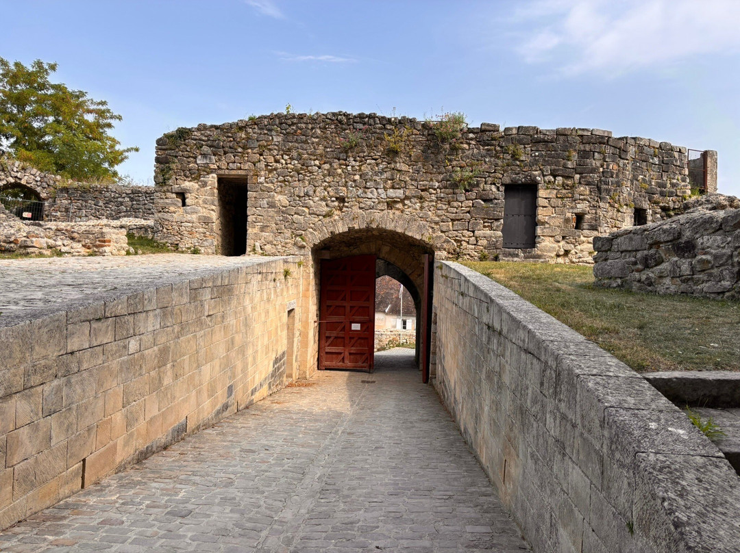 Château de Château-Thierry-Chateau-Thierry必去景点