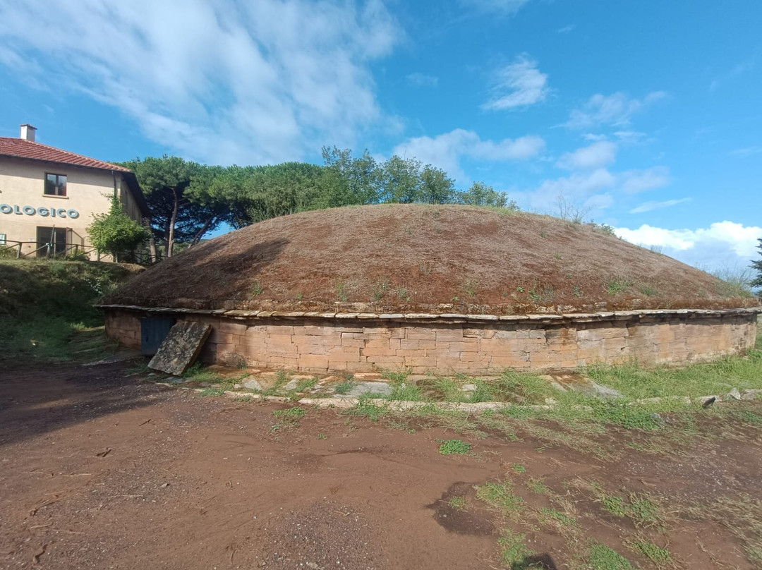 Baratti and Populonia Archeological Park-皮翁比诺必去景点