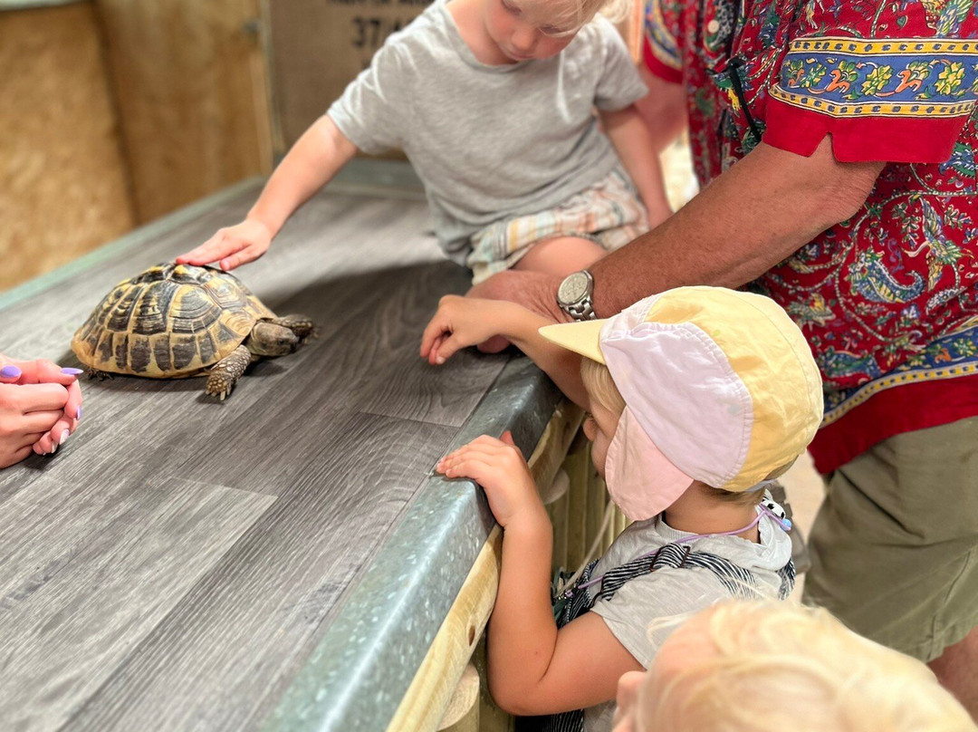 Axe Valley Wildlife Park-Axminster必去景点