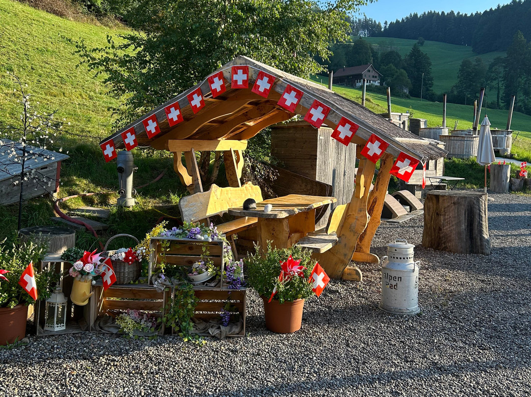 Alpenbad-Hinwil必去景点