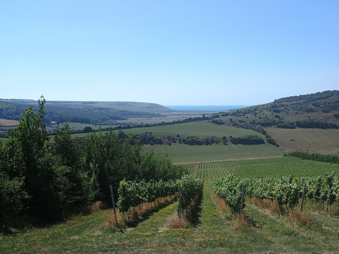 Rathfinny Wine Estate