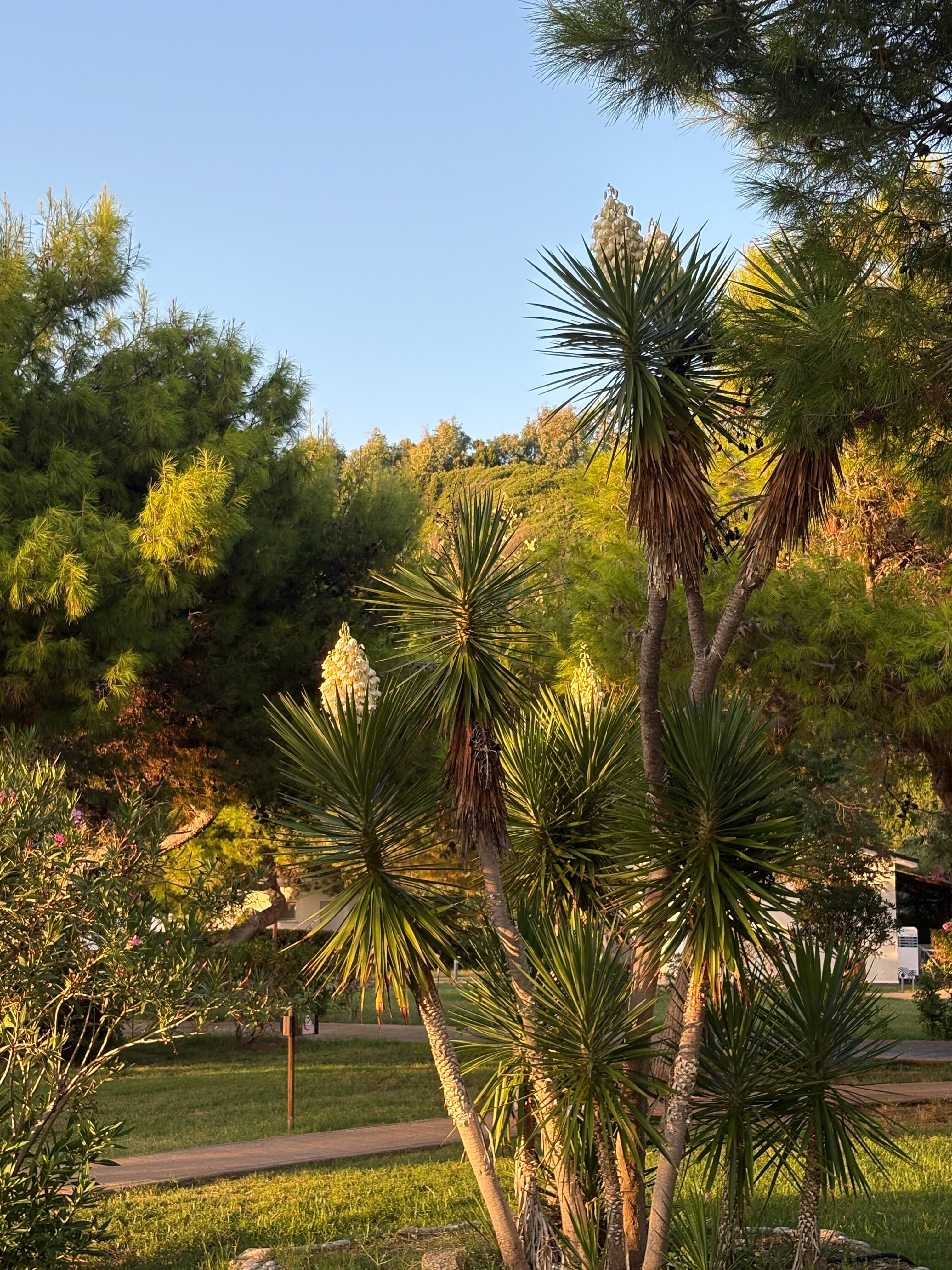 BV Kalafiorita Resort-官方