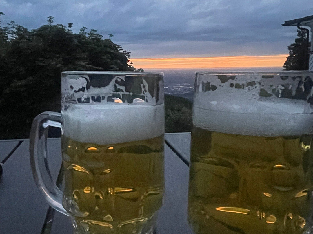 Berghof Gruner Baum主图