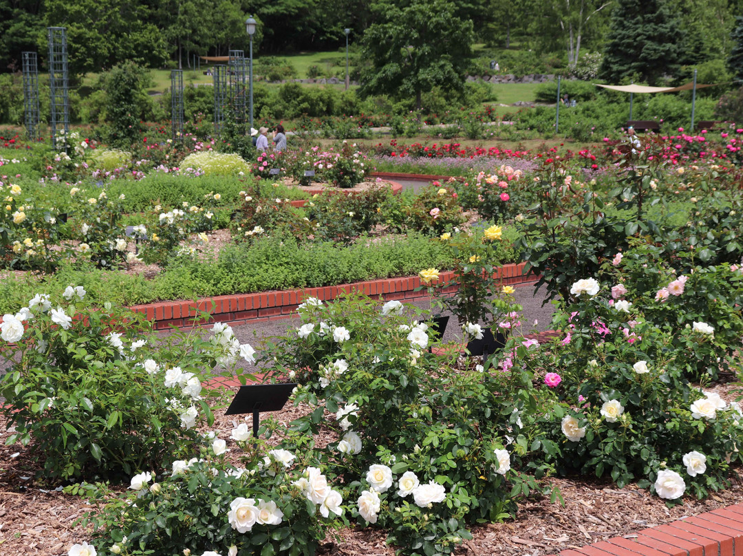 Iwamizawa Park-岩见泽市必去景点