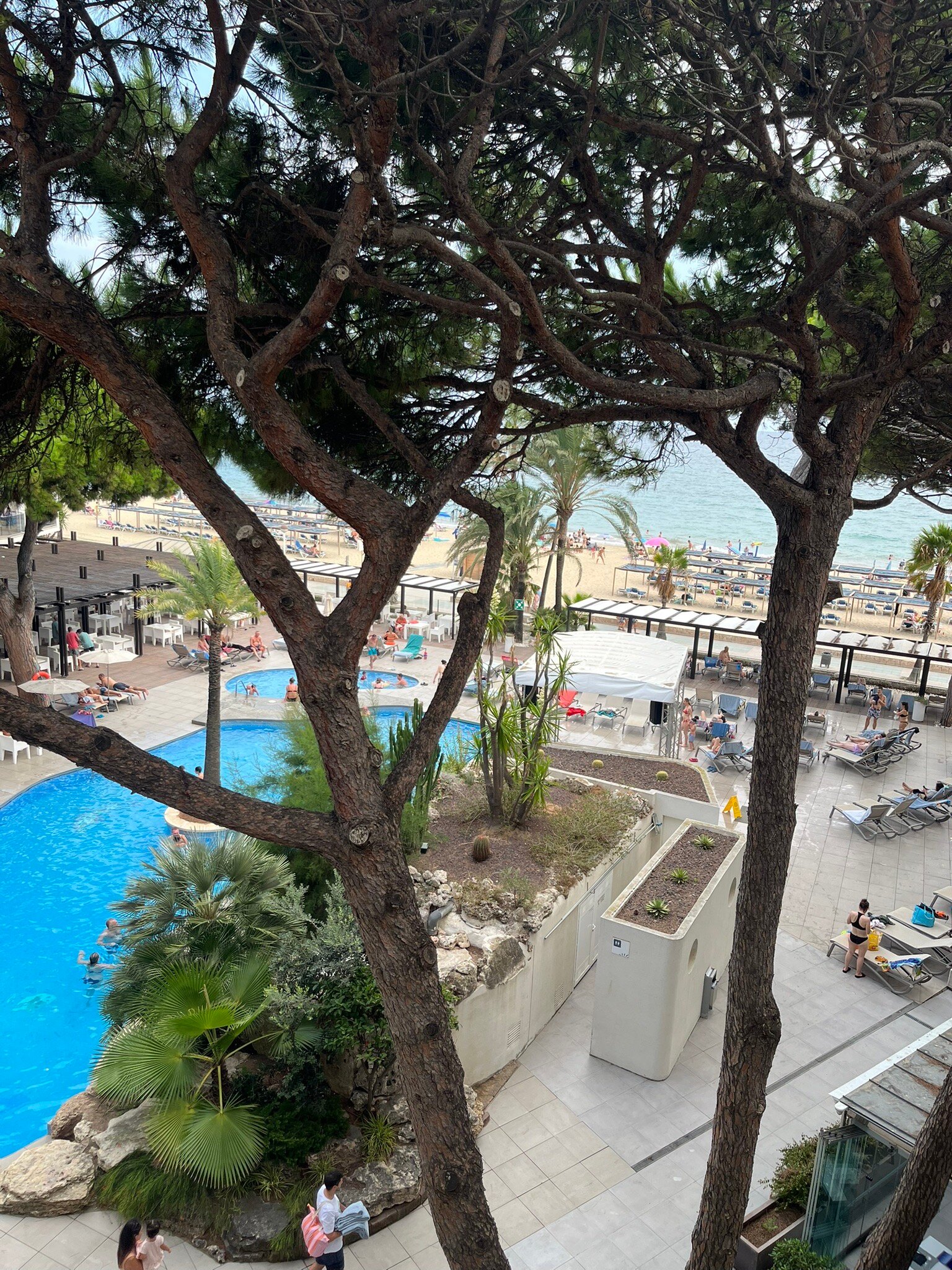 Estival Centurion Playa-官方