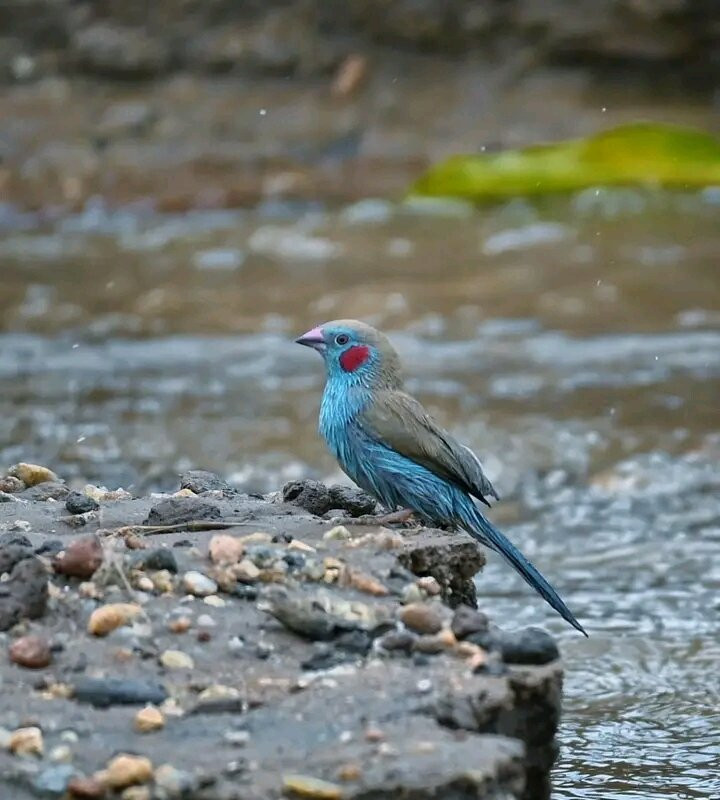 Stepclimb Adventures-莫西必去景点
