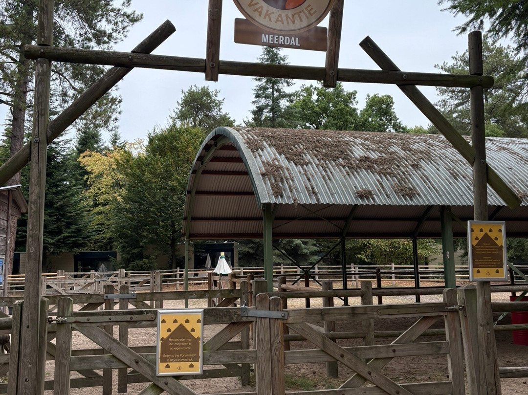 Center Parcs Het Meerdal主图
