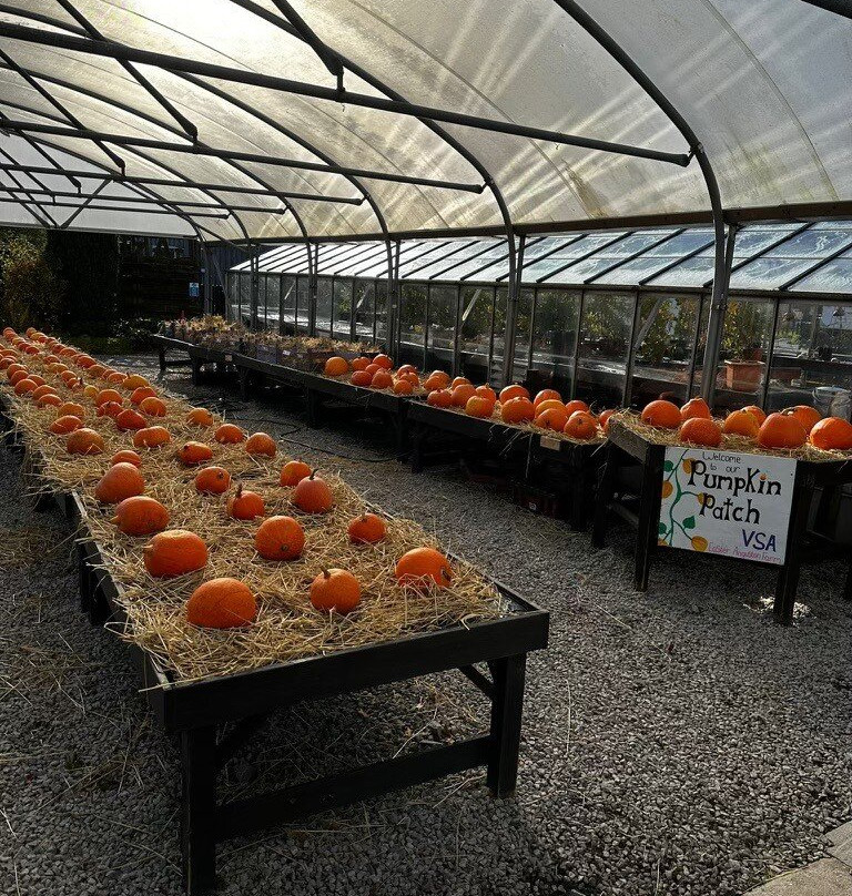 VSA Easter Anguston Farm-Peterculter必去景点