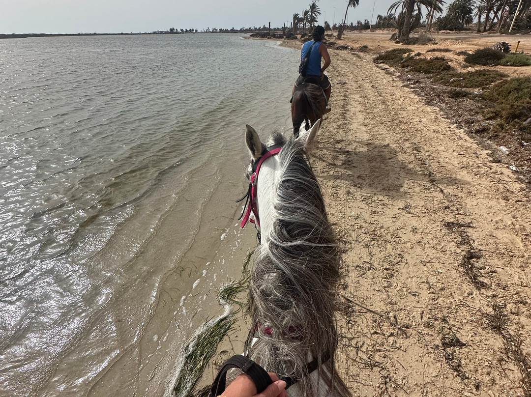 Nour Equestre Djerba-Djerba Midun必去景点