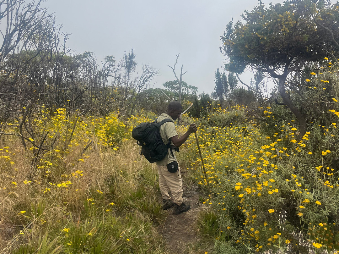 Mount Rungwe-Tukuyu必去景点