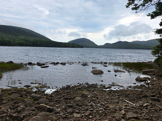Pedego Electric Bikes Bar Harbor-巴港必去景点