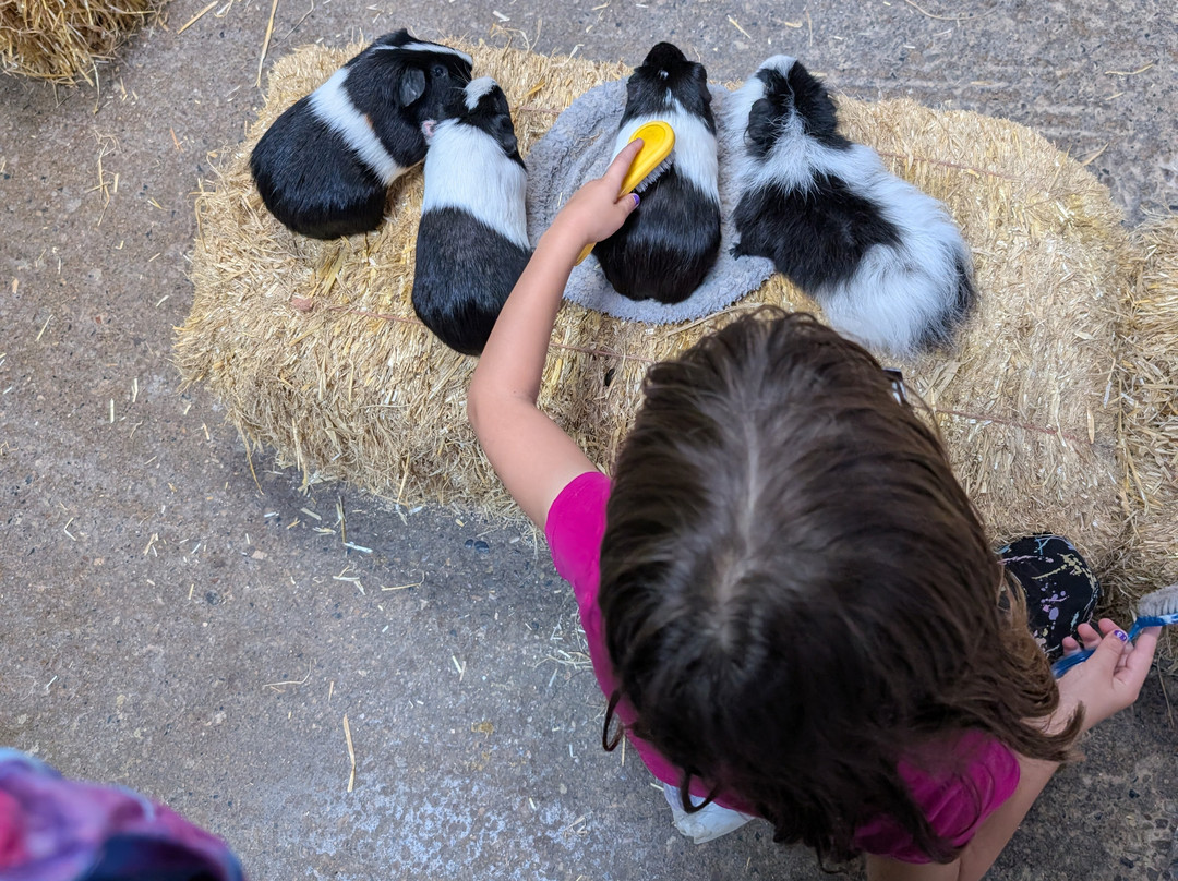 Hesketh Farm Park-斯基普顿必去景点